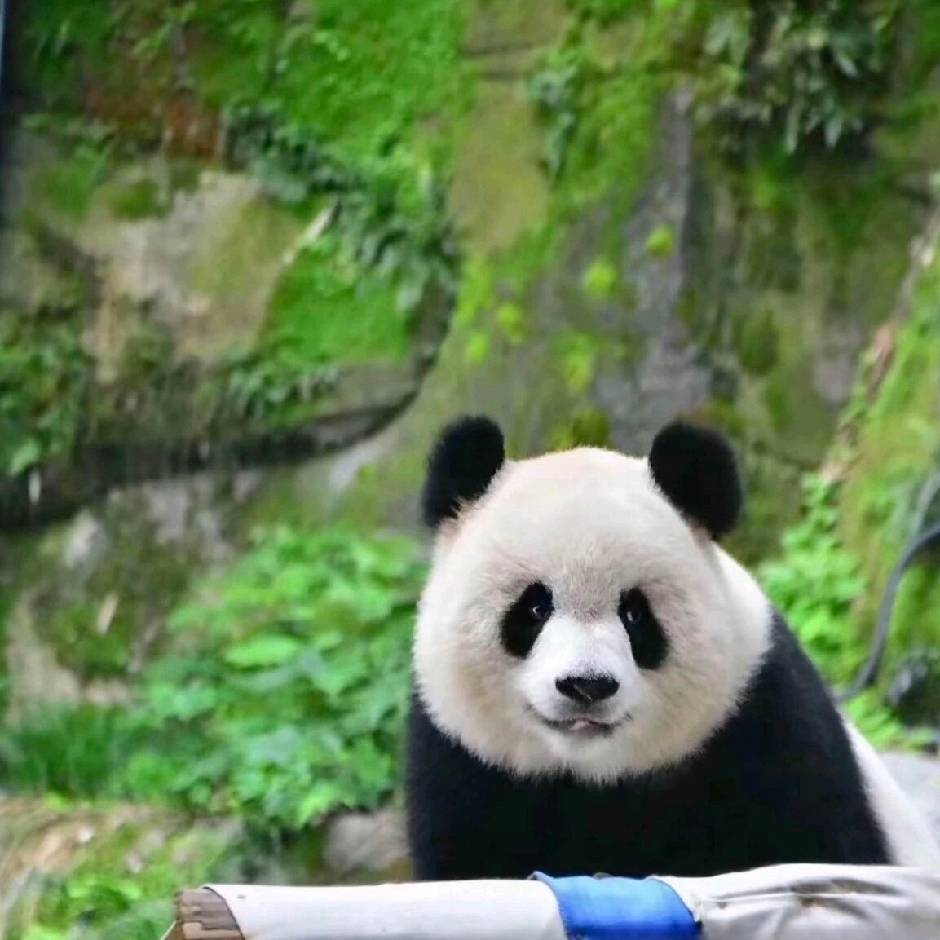 明